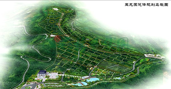 1-22020Q12122N1 J9集团国际站【中国区】官方网站