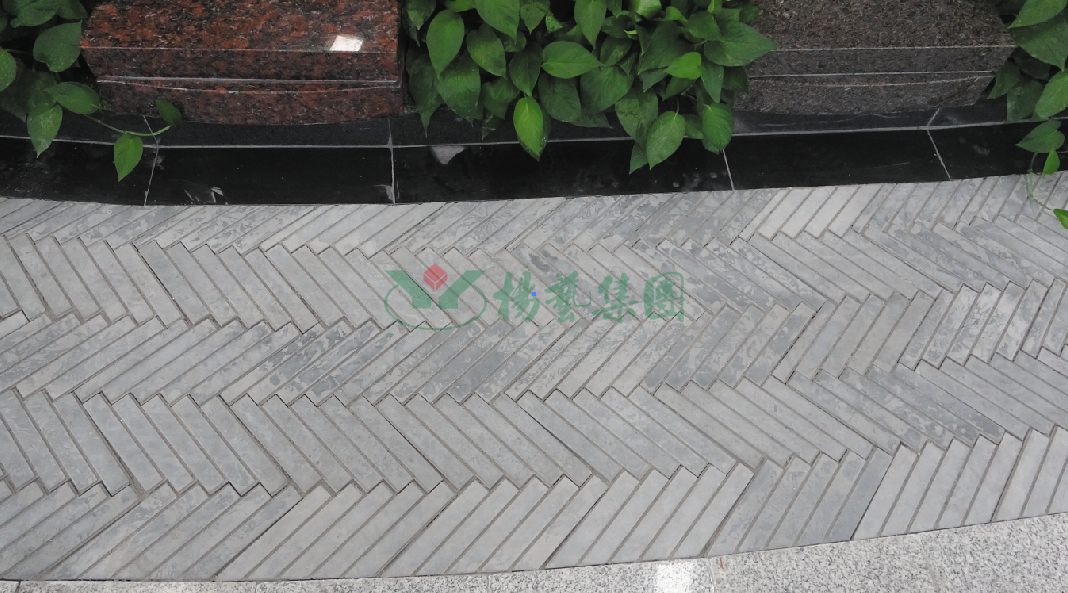 1-22020Q31136458 J9集团国际站【中国区】官方网站