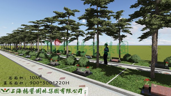 1-22020Q34029208 J9集团国际站【中国区】官方网站