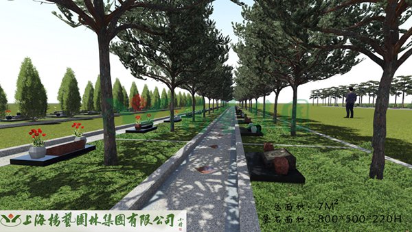 1-22020Q34044560 J9集团国际站【中国区】官方网站