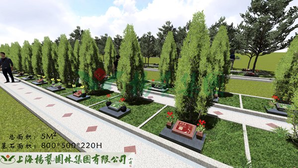 1-22020Q34102648 J9集团国际站【中国区】官方网站