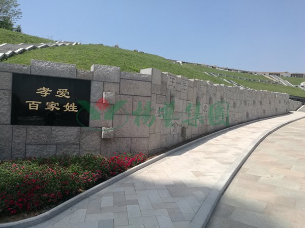 J9集团国际站【中国区】官方网站