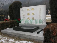 齐良迟