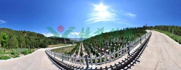 J9集团国际站【中国区】官方网站