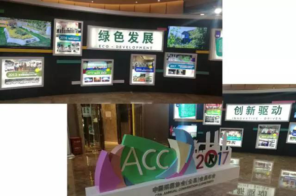 J9集团国际站【中国区】官方网站