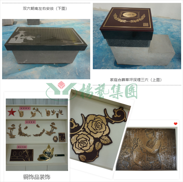 1-21123015293M10 J9集团国际站【中国区】官方网站