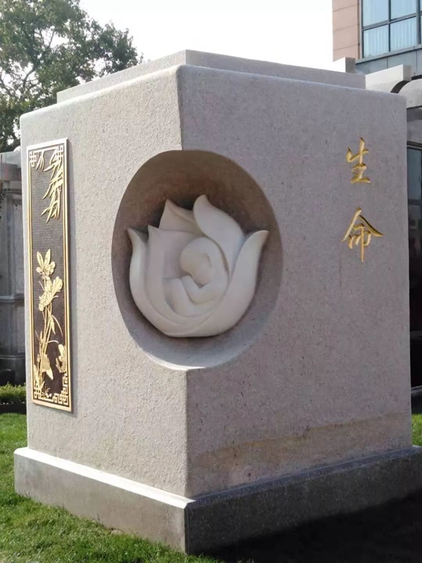 J9集团国际站【中国区】官方网站