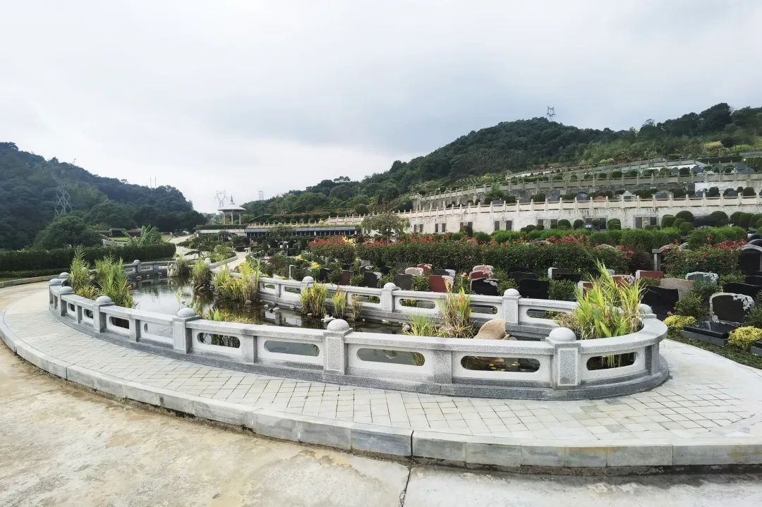 1-220P30T6262G J9集团国际站【中国区】官方网站