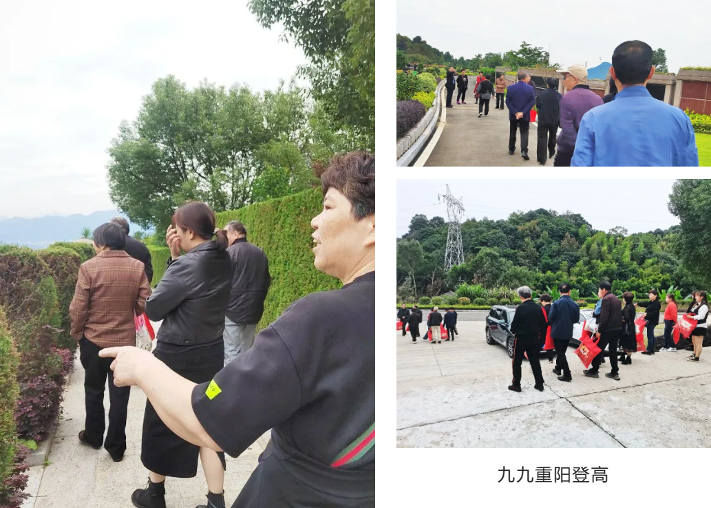 J9集团国际站【中国区】官方网站