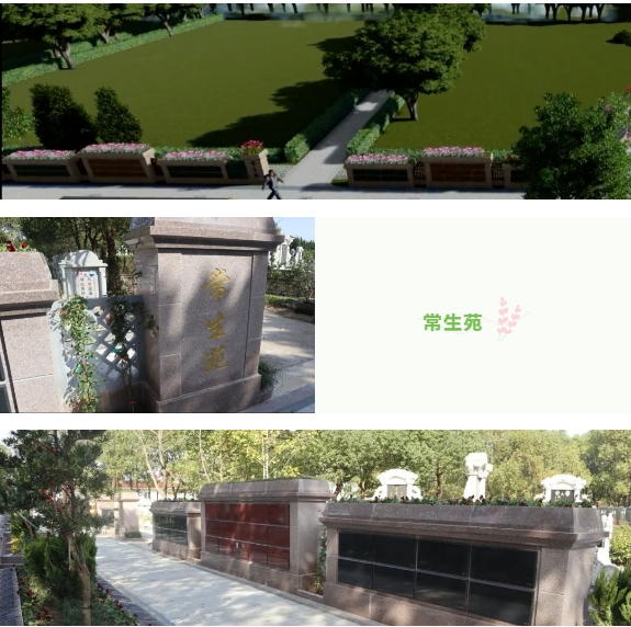1-240130133F6438 J9集团国际站ã€ä¸å›½åŒºã€‘官方网站