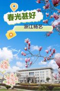 春分之韵|J9集团国际站邀您共享春景