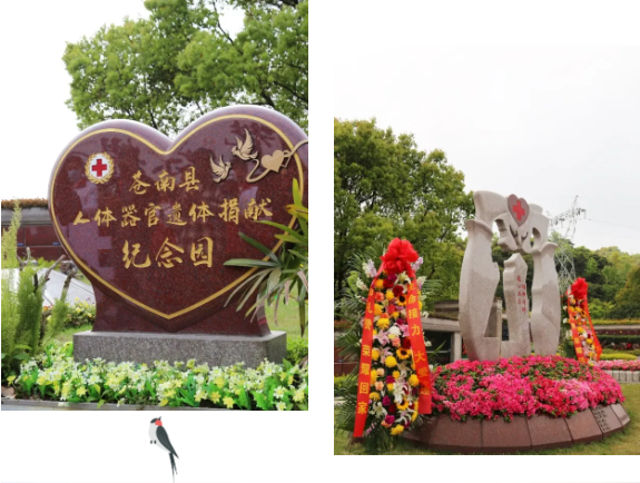 1-2404060951244F J9集团国际站【中国区】官方网站