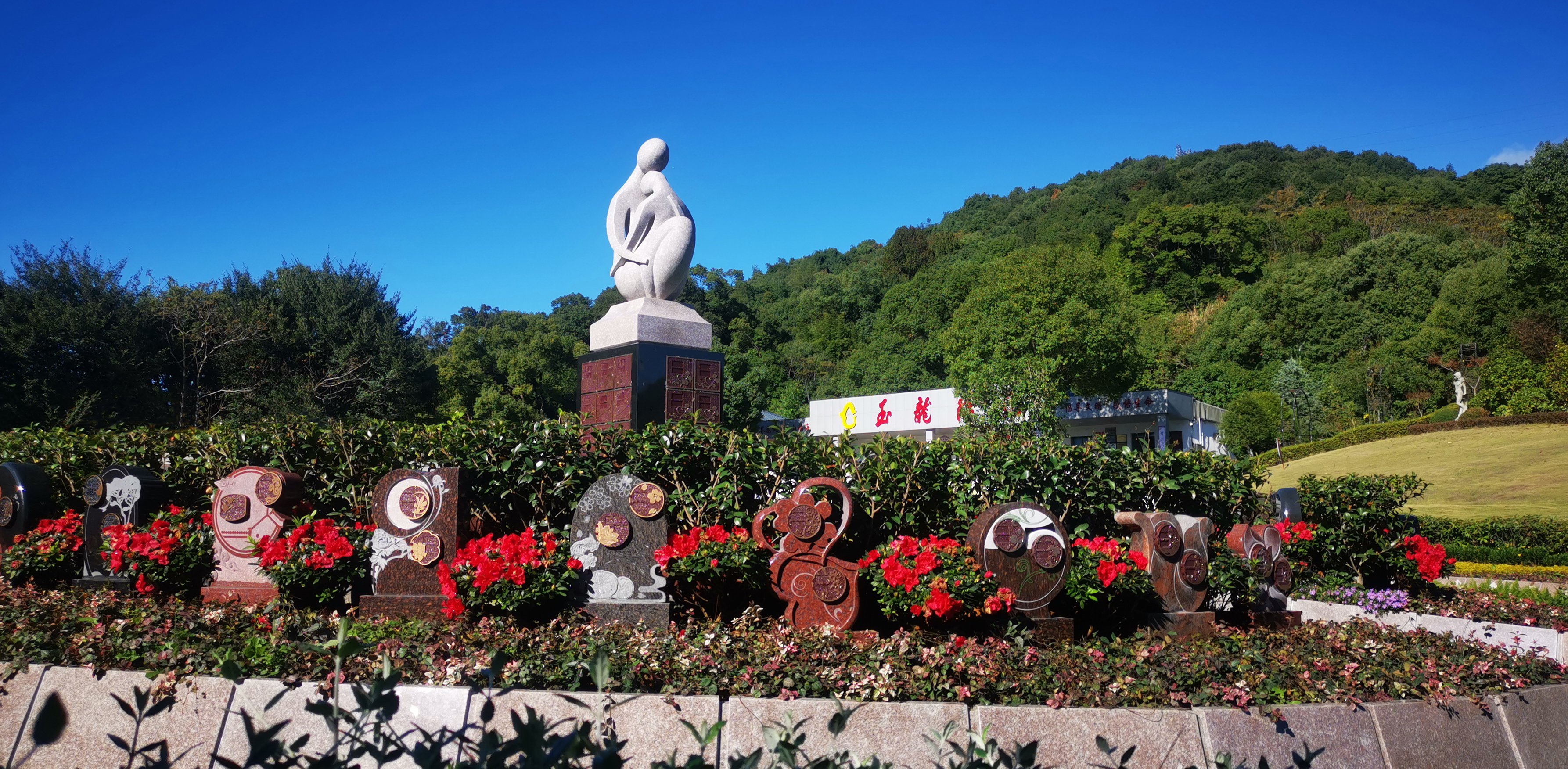 将来，生态葬或将成为主流