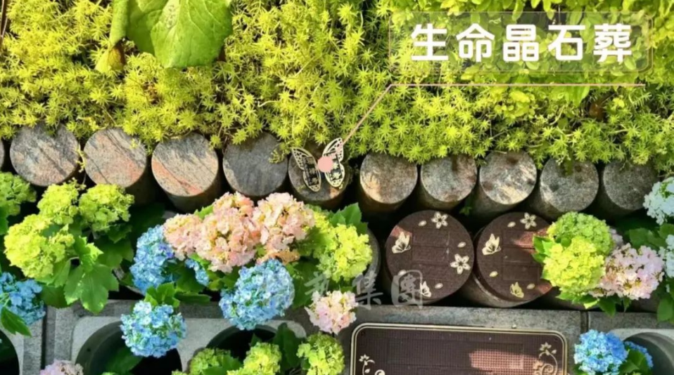 J9集团国际站【中国区】官方网站