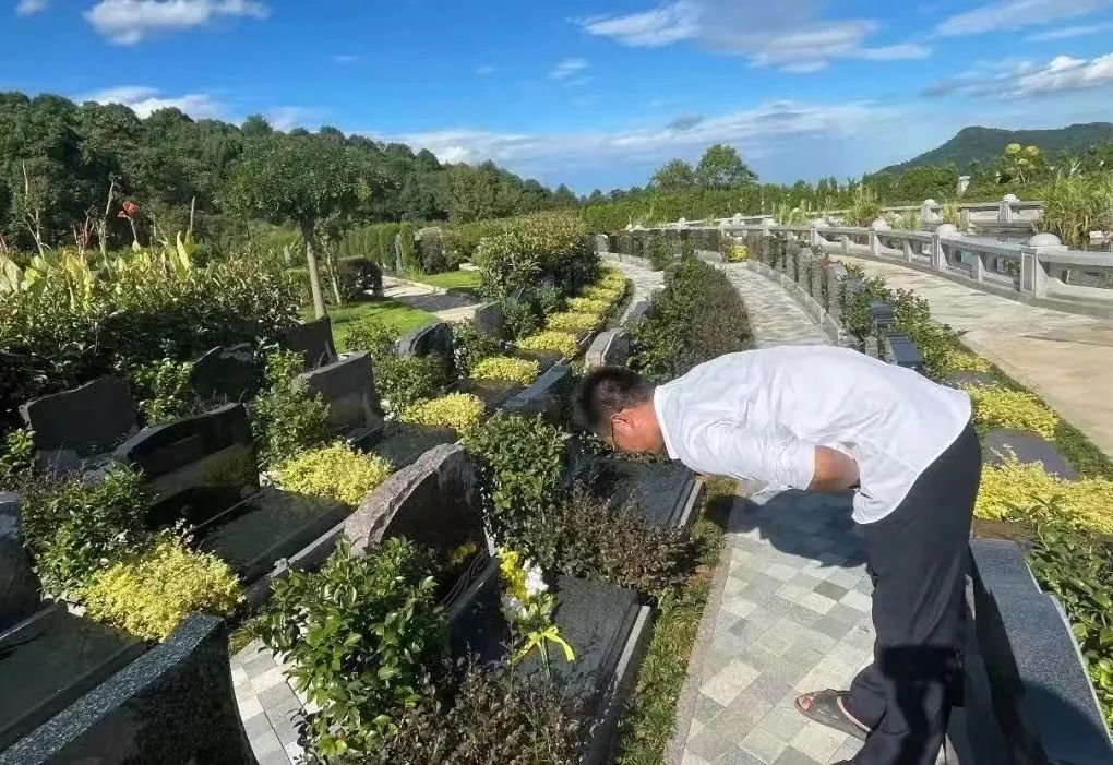 1-25032Q33511S0 J9集团国际站【中国区】官方网站
