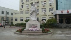 石雕匠心，镌刻医者风华