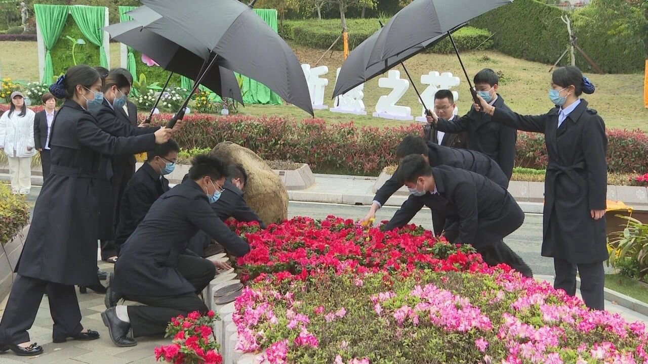 1-251029135450O9 J9集团国际站【中国区】官方网站