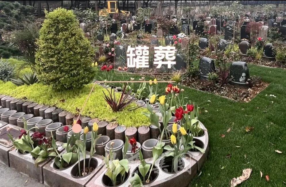 1-26052115062L00 J9集团国际站【中国区】官方网站