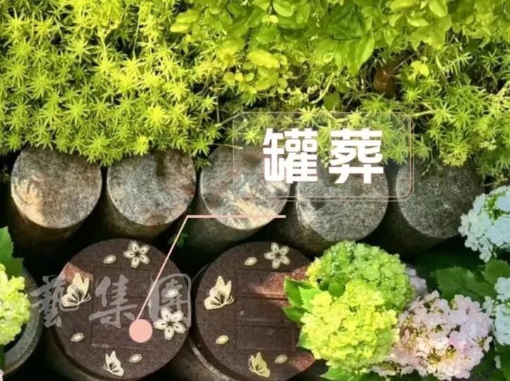 1-260521150H13V J9集团国际站【中国区】官方网站